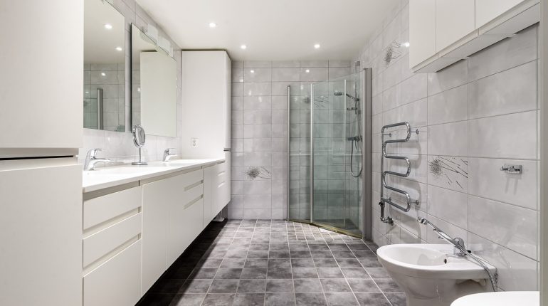 Guide d'achat d'une douchette WC