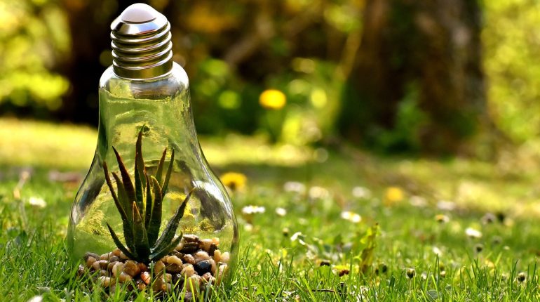 L'électricité biotique existe-t-elle vraiment ?