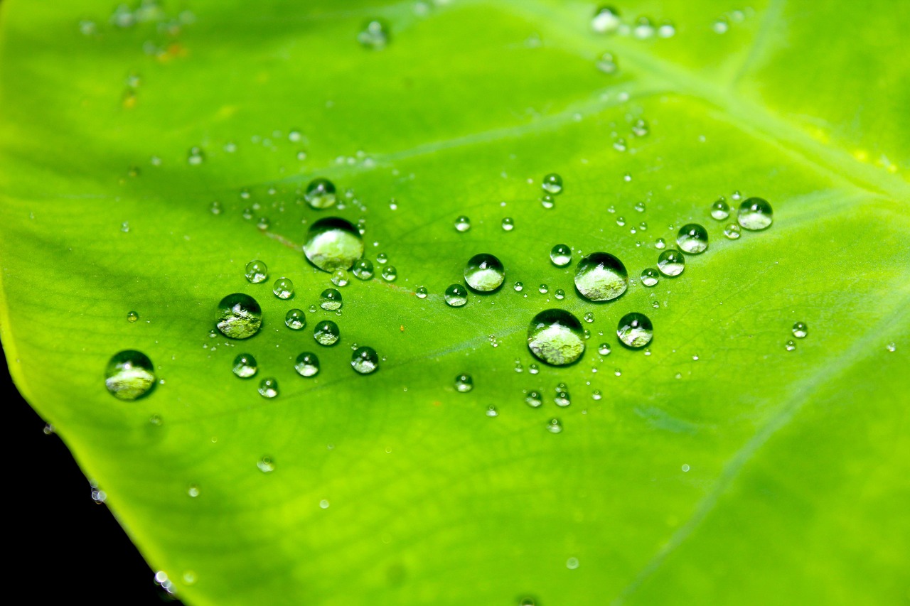 découvrez nos solutions efficaces d'étanchéité pour protéger vos bâtiments de l'humidité et des infiltrations d'eau.