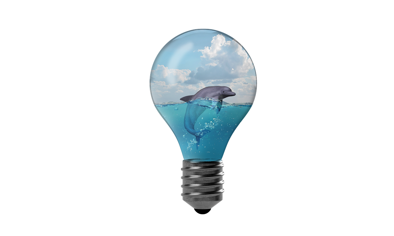 découvrez nos solutions de protection électrique pour assurer la sécurité et la fiabilité de vos installations électriques.