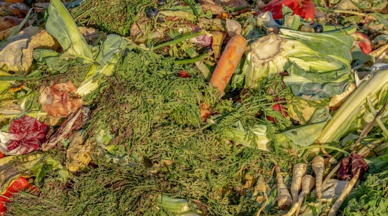 découvrez comment composter sur votre balcon, choisir le bon composteur et transformer vos déchets de cuisine en un engrais naturel, même en ville.