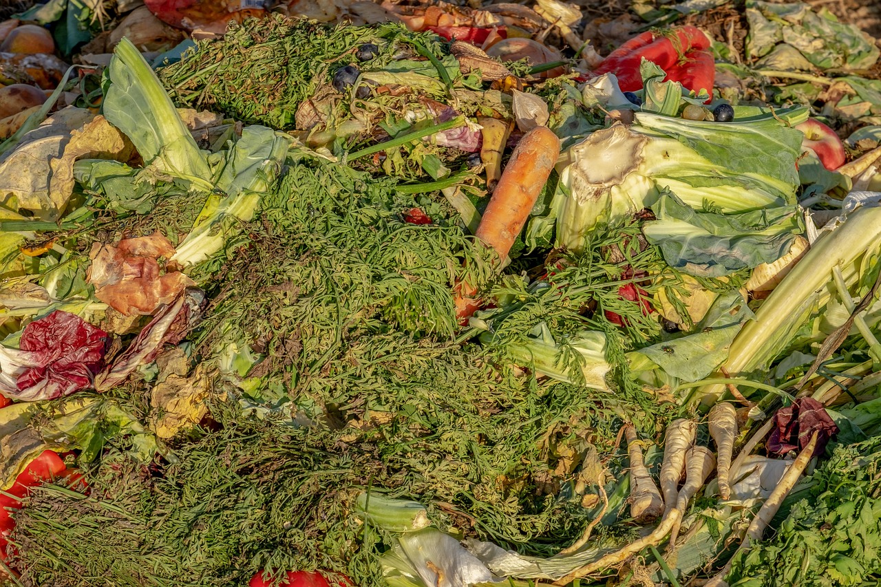 découvrez comment composter sur votre balcon, choisir le bon composteur et transformer vos déchets de cuisine en un engrais naturel, même en ville.
